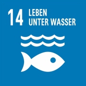 Ziel Nr. 14 - Leben unter Wasser