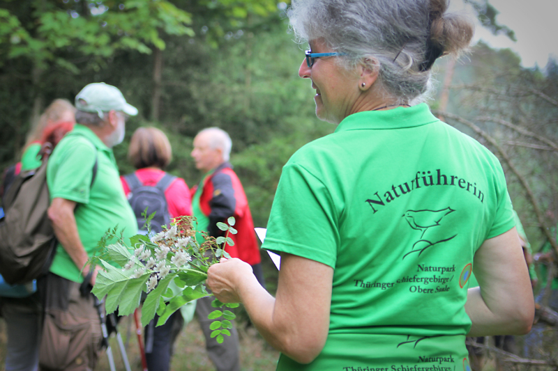 Eine Gruppe von Personen am Waldrand. Die Frau im Vordergrund ist von hinten zu sehen. Auf ihrem grünen Shirt steht Naturführerin.