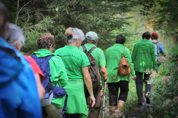 Marika Hauptmann, CC BY-SA Eine Wandergruppe läuft auf einem engen Pfad durch den Wald. Sie tragen grüne T-Shirts mit dem Schriftzug "Naturführer".