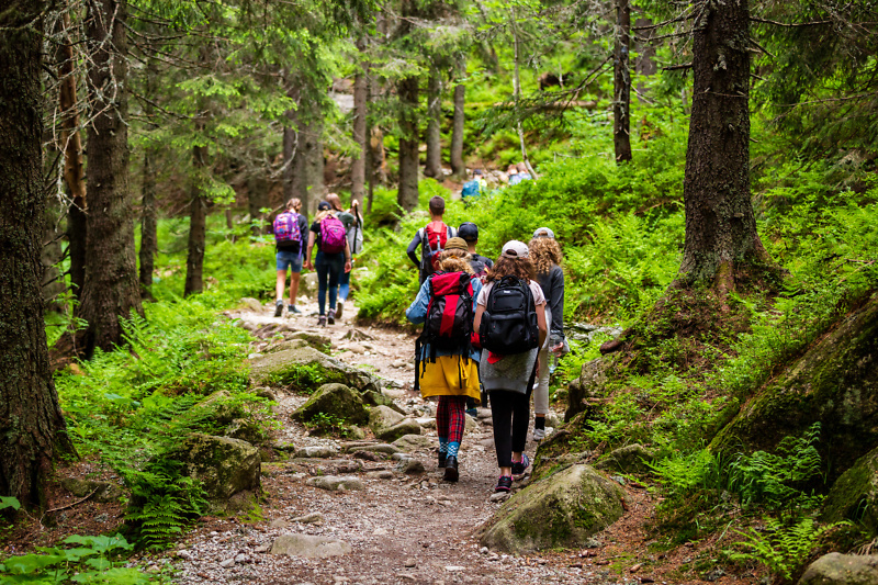 Eine Gruppe Jugendlicher wandert auf einem schmalen Pfad durch den Wald.