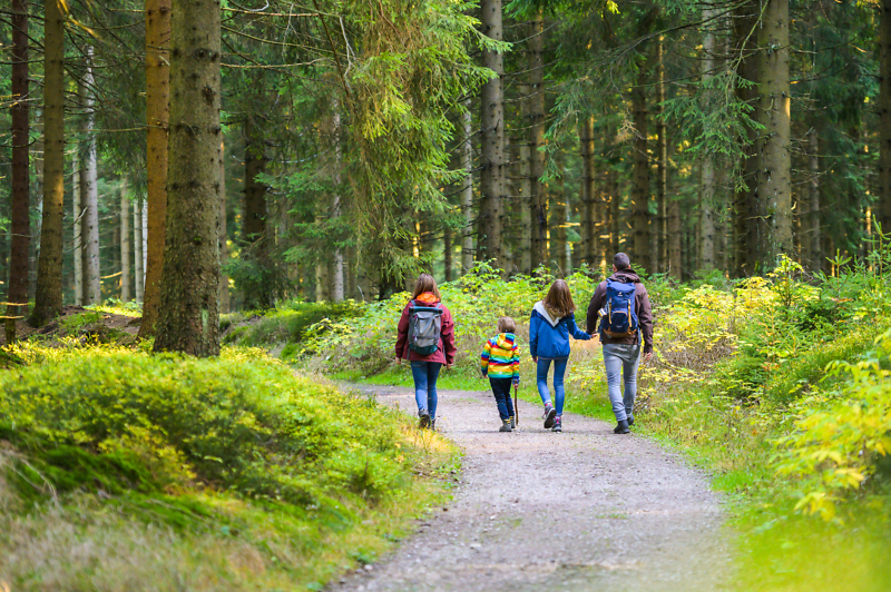 Eine Familie wandert durch einen Nadelwald.