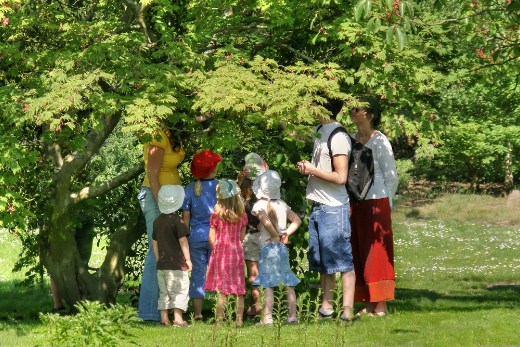 Eine Kindergartengruppe begenet gemeinsam einem Baum