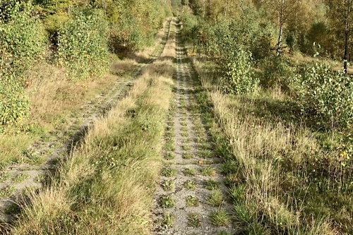 Anja Wunder